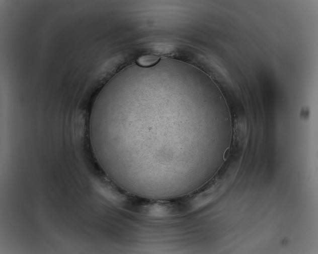 X0000101470412200807141355