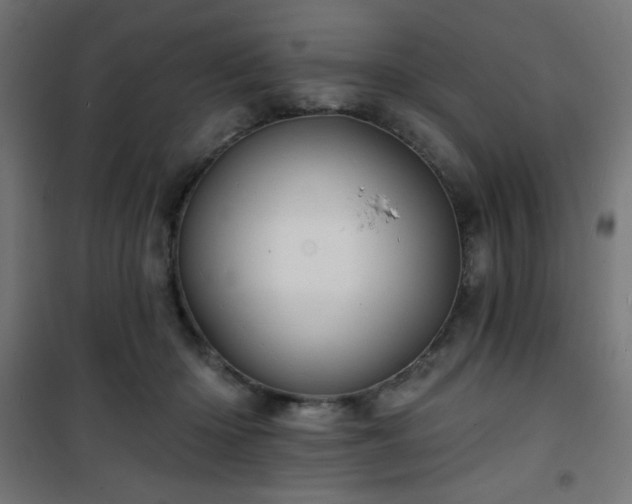 X0000101470414200807141355