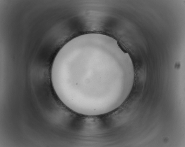 X0000101470415200807141355