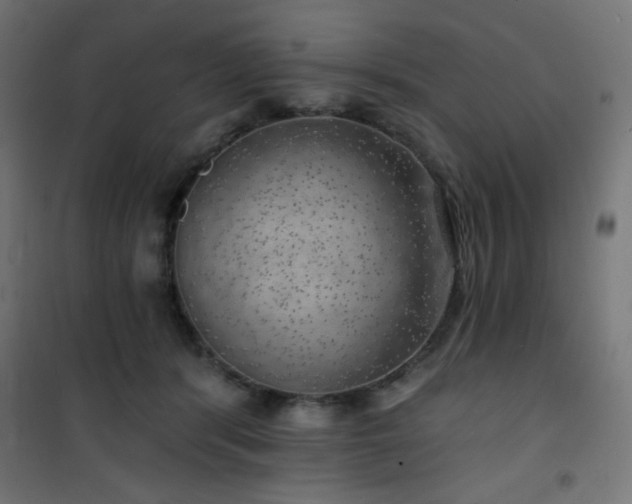 X0000101470416200807141355