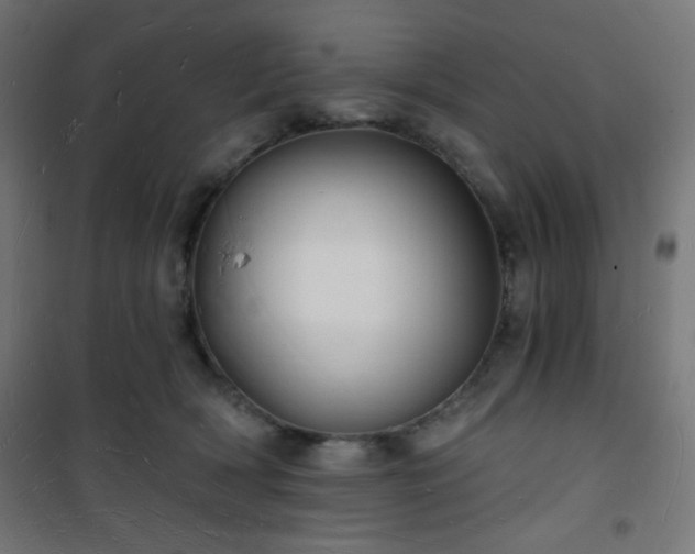 X0000101470418200807141355