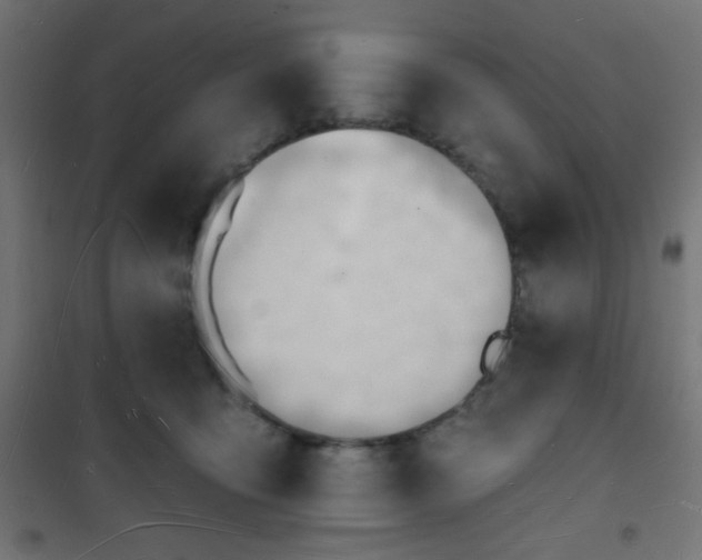 X0000101470419200807141355