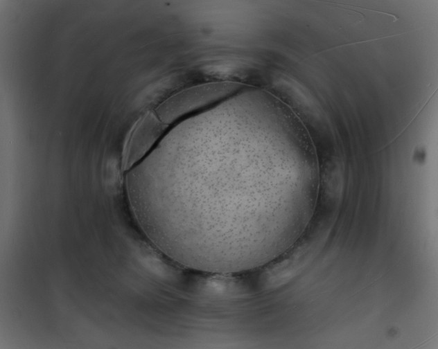 X0000101470420200807141355