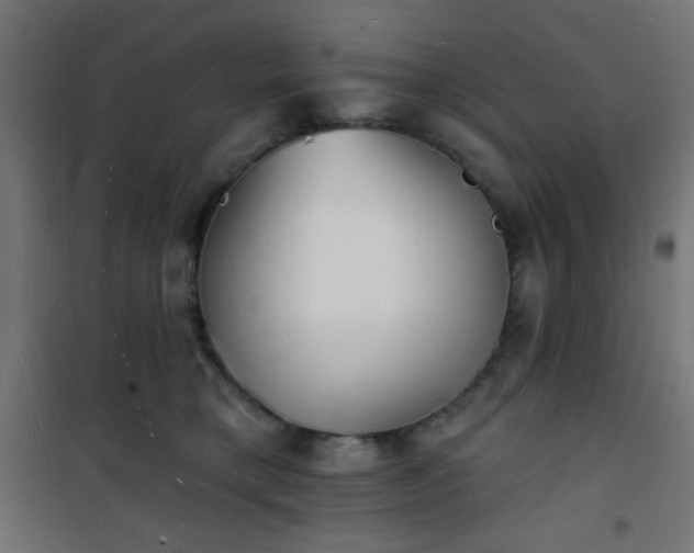 X0000101470421200807141355