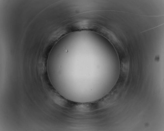 X0000101470422200807141355