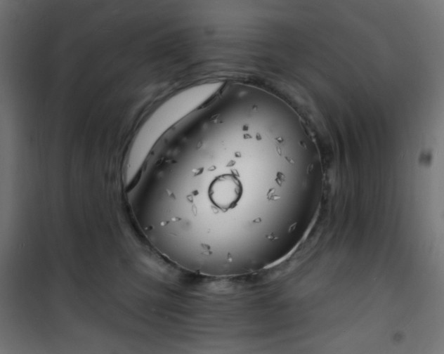 X0000101470423200807141355
