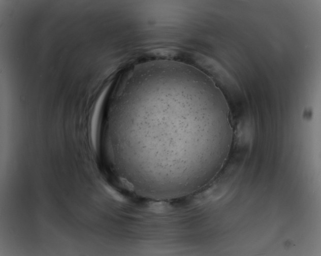 X0000101470424200807141355