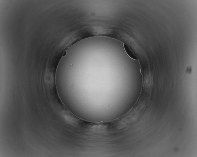 X0000101470426200807141355