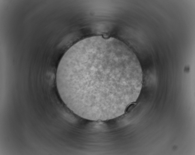 X0000101470427200807141355