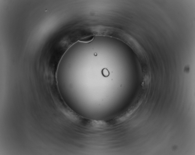 X0000101470429200807141355