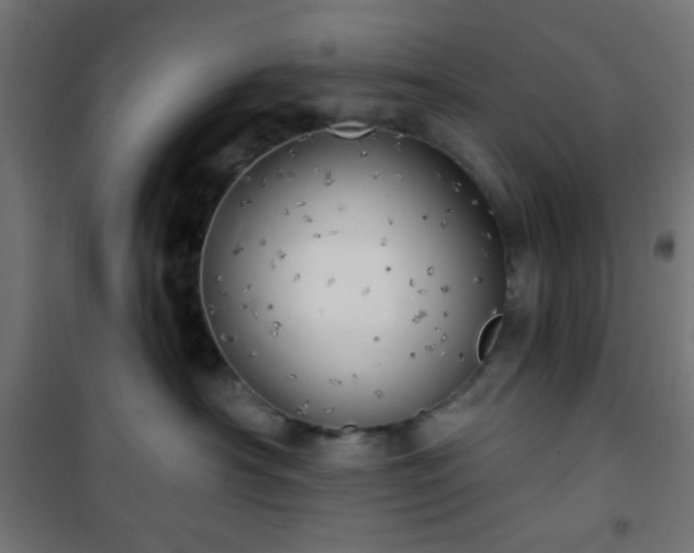 X0000101470430200807141355