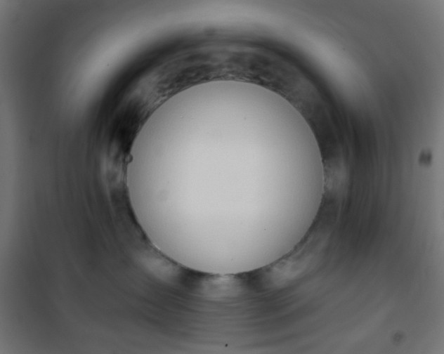 X0000101470431200807141355