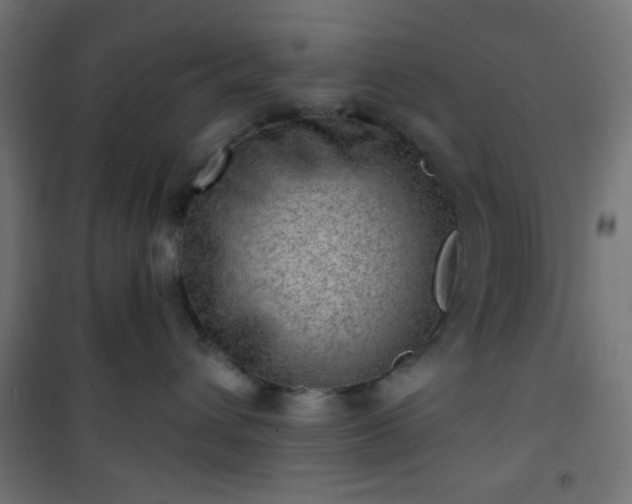 X0000101470432200807141355