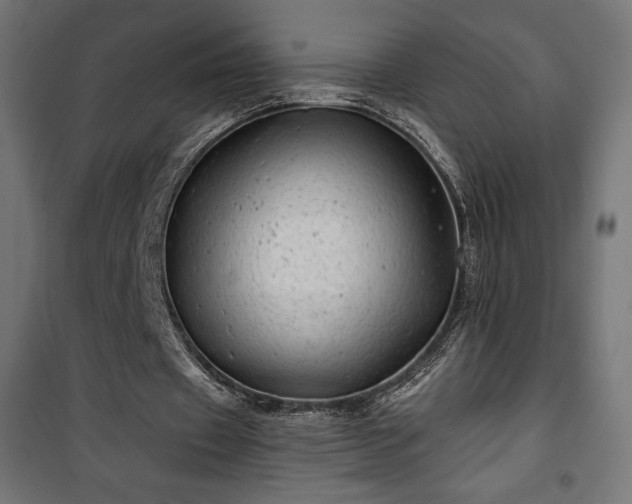 X0000101470433200807141354