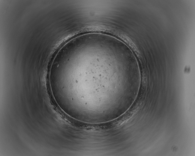 X0000101470434200807141354