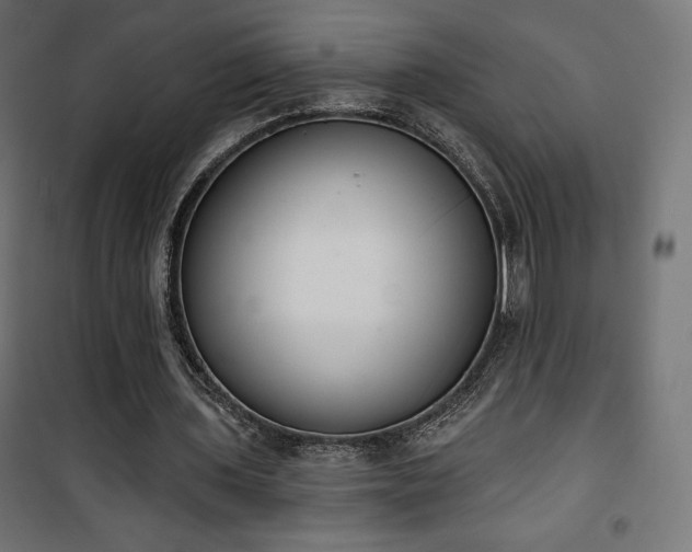 X0000101470435200807141354