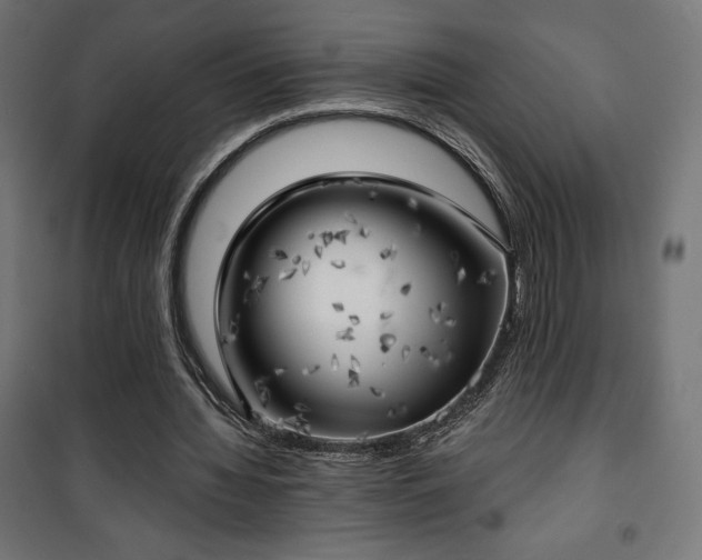 X0000101470436200807141354