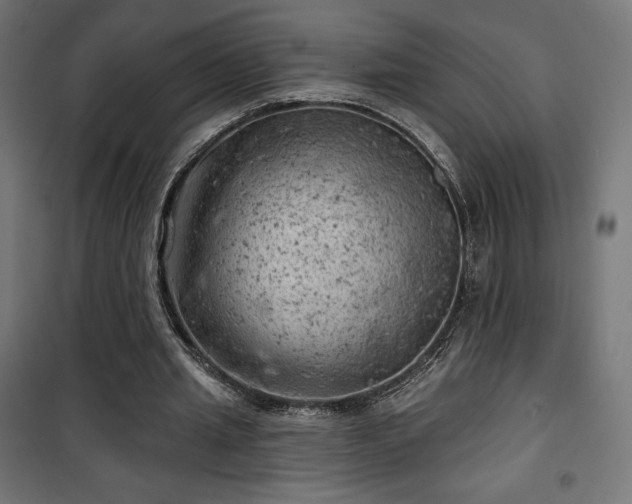 X0000101470437200807141354