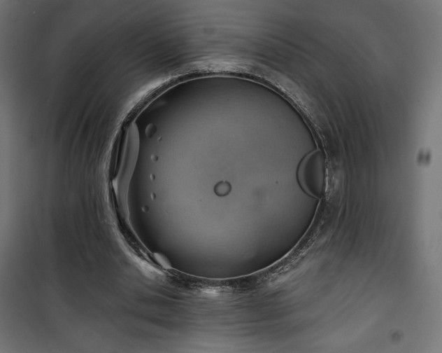 X0000101470438200807141354