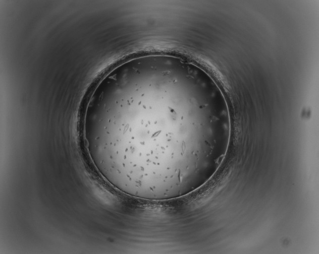 X0000101470439200807141354