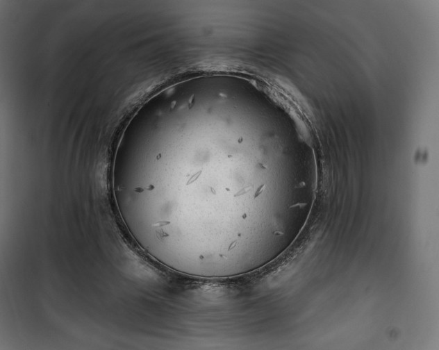 X0000101470441200807141354