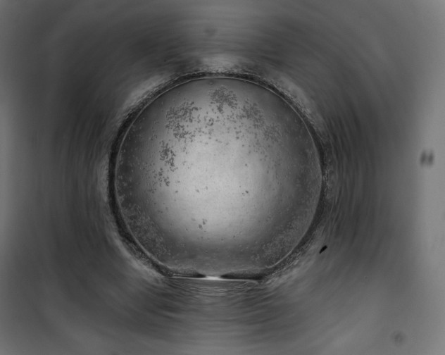 X0000101470442200807141354