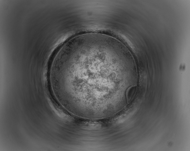 X0000101470443200807141354