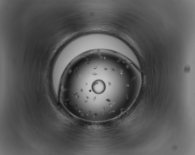 X0000101470444200807141354