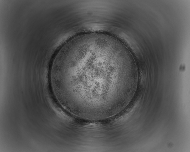 X0000101470447200807141354