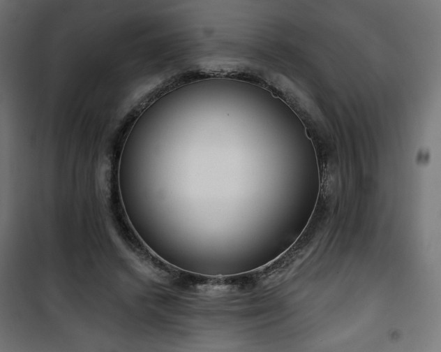 X0000101470448200807141354