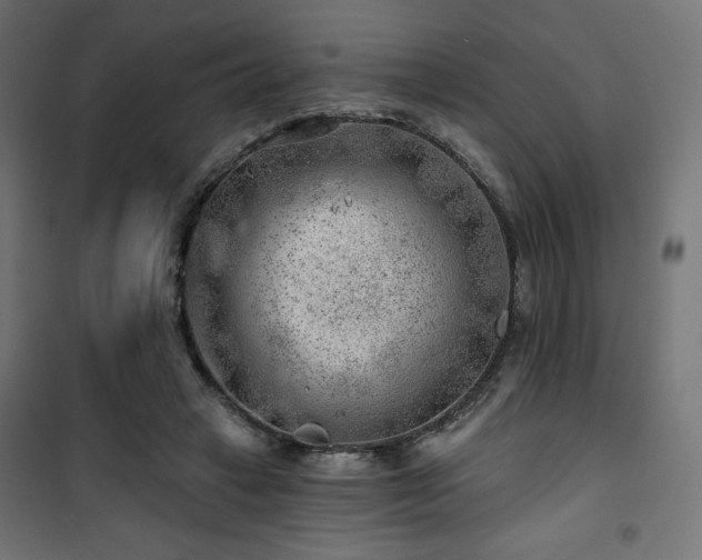 X0000101470449200807141354