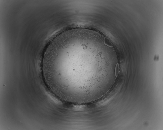 X0000101470450200807141354