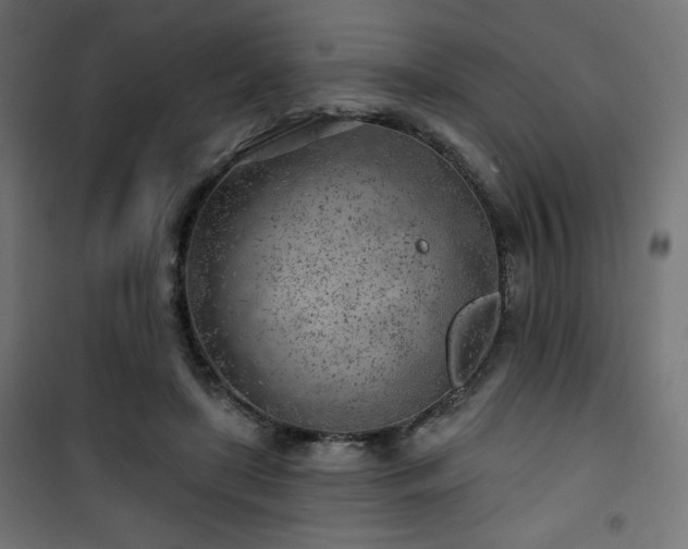 X0000101470451200807141355