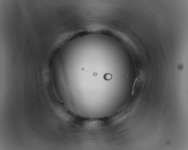 X0000101470452200807141355