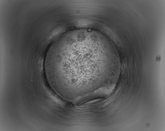 X0000101470454200807141355