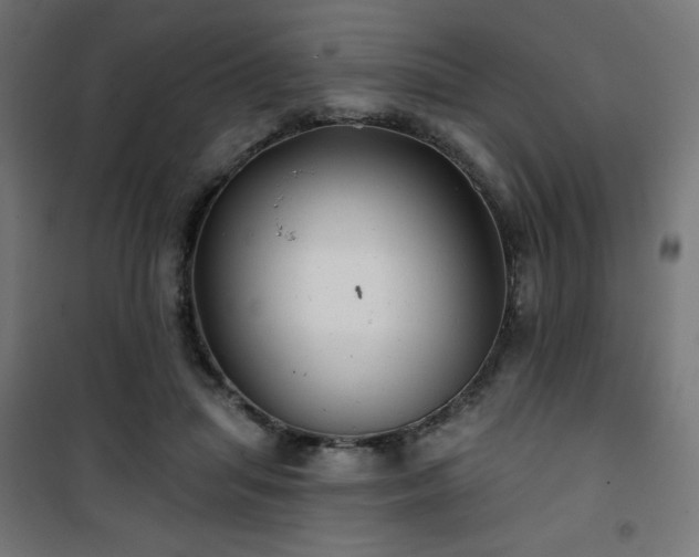 X0000101470455200807141355