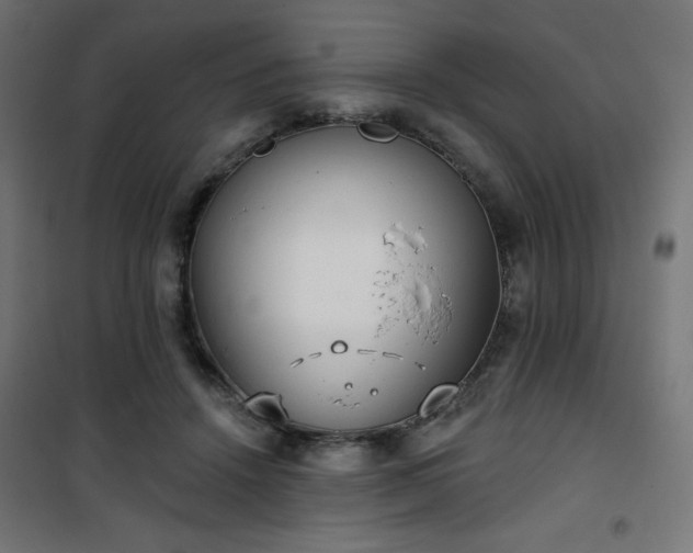 X0000101470456200807141355