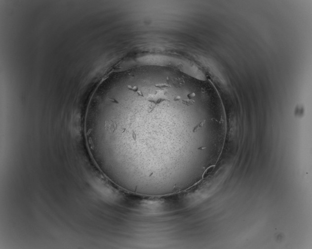 X0000101470457200807141355
