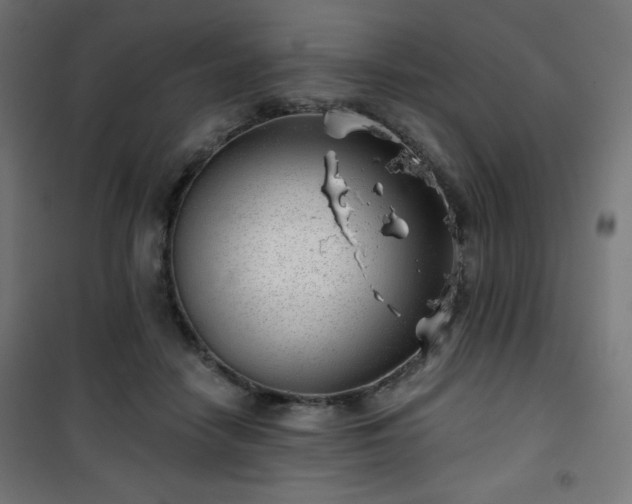 X0000101470458200807141355