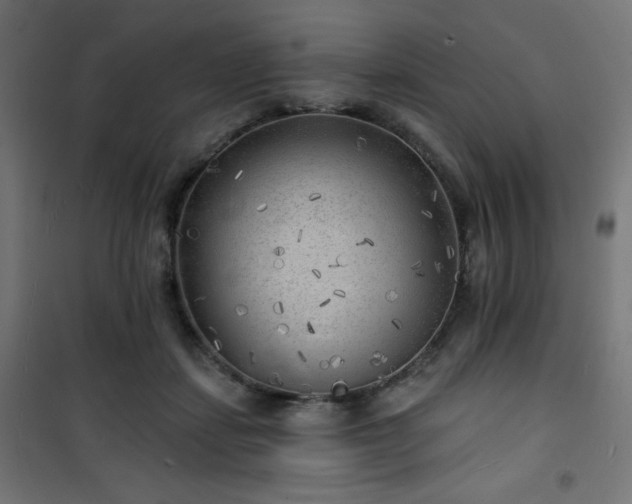 X0000101470459200807141355