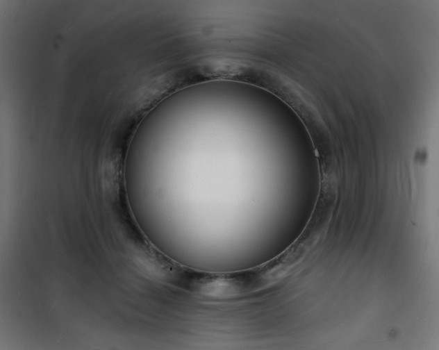 X0000101470460200807141355