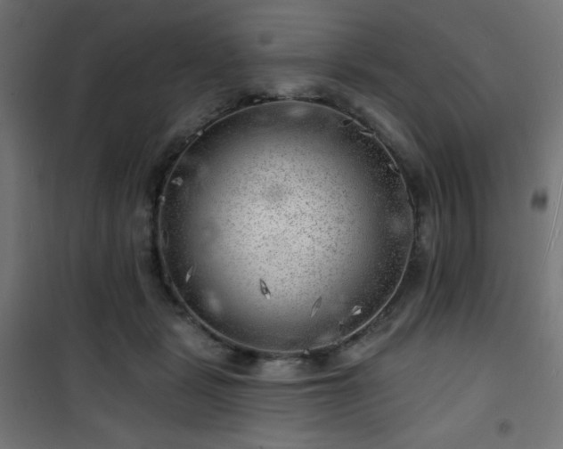X0000101470461200807141355