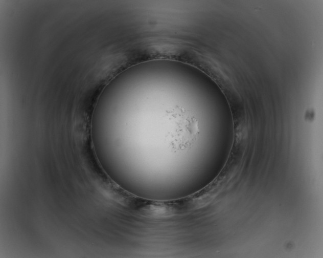 X0000101470464200807141355