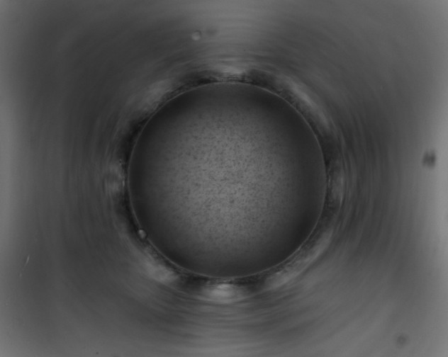 X0000101470467200807141355