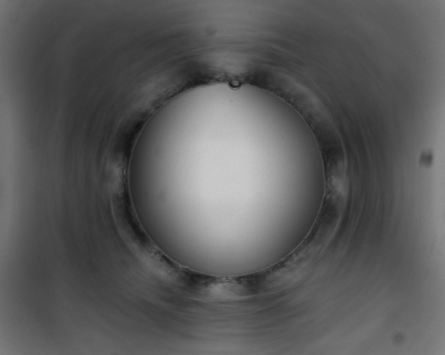 X0000101470468200807141355