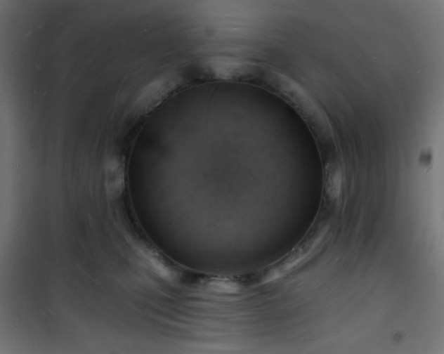 X0000101470471200807141355