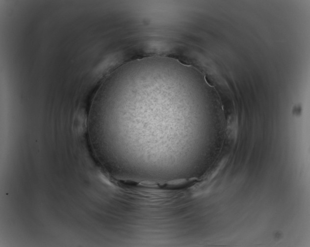 X0000101470474200807141355