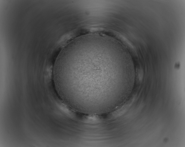 X0000101470475200807141355