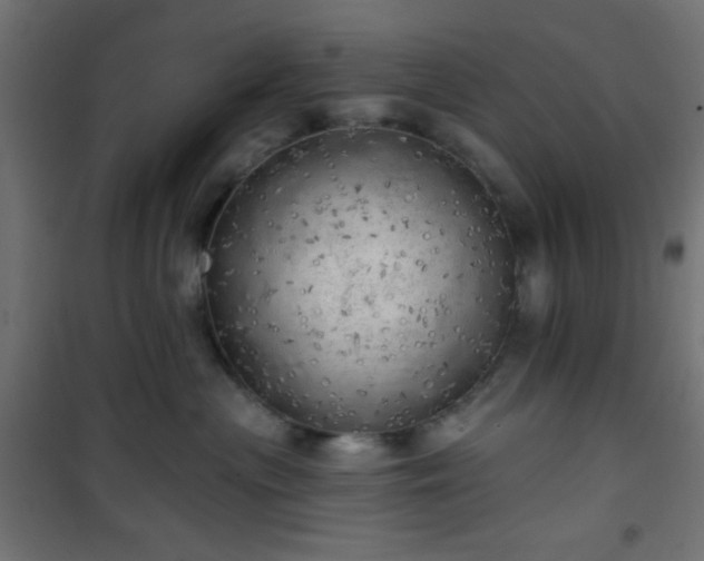 X0000101470477200807141355