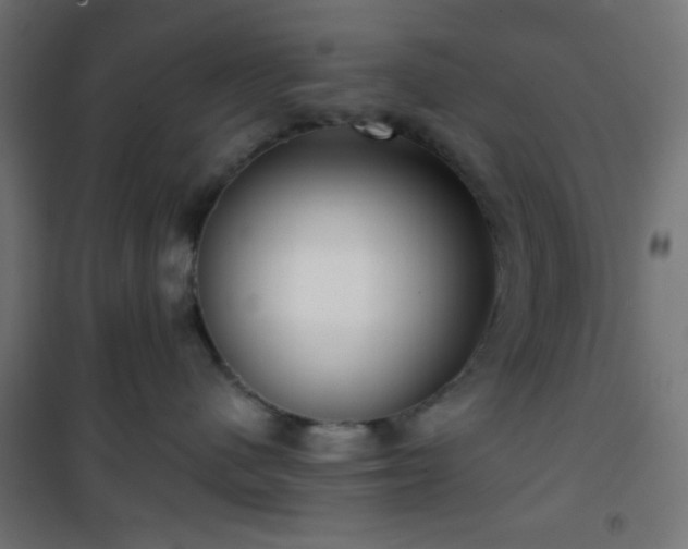 X0000101470480200807141355